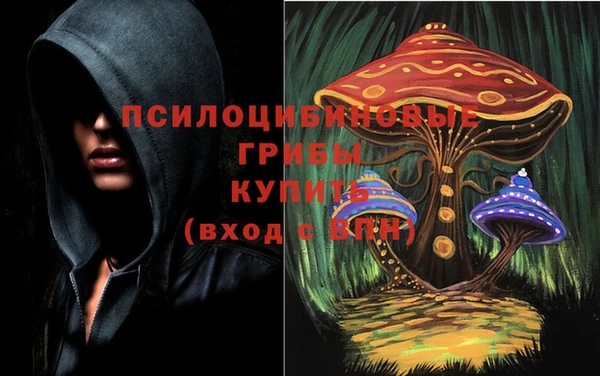 spice Володарск