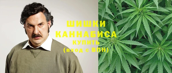 гашик Верхний Тагил