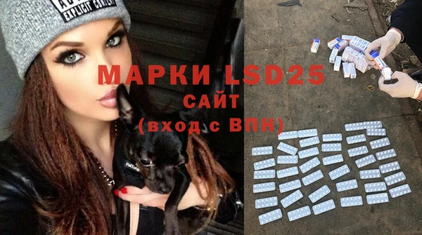 spice Володарск