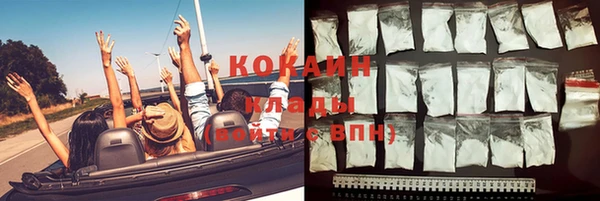 СК Волоколамск