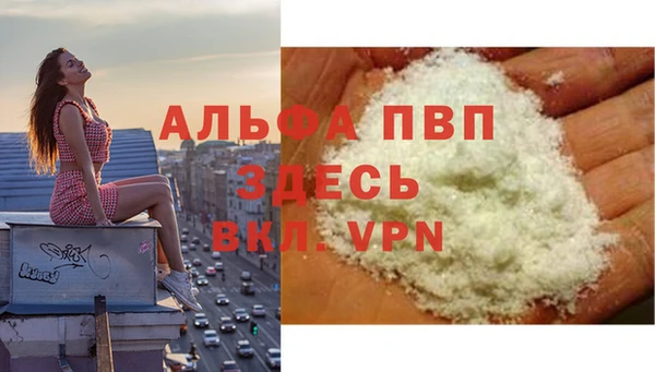 spice Володарск