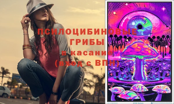 хмурый Волосово